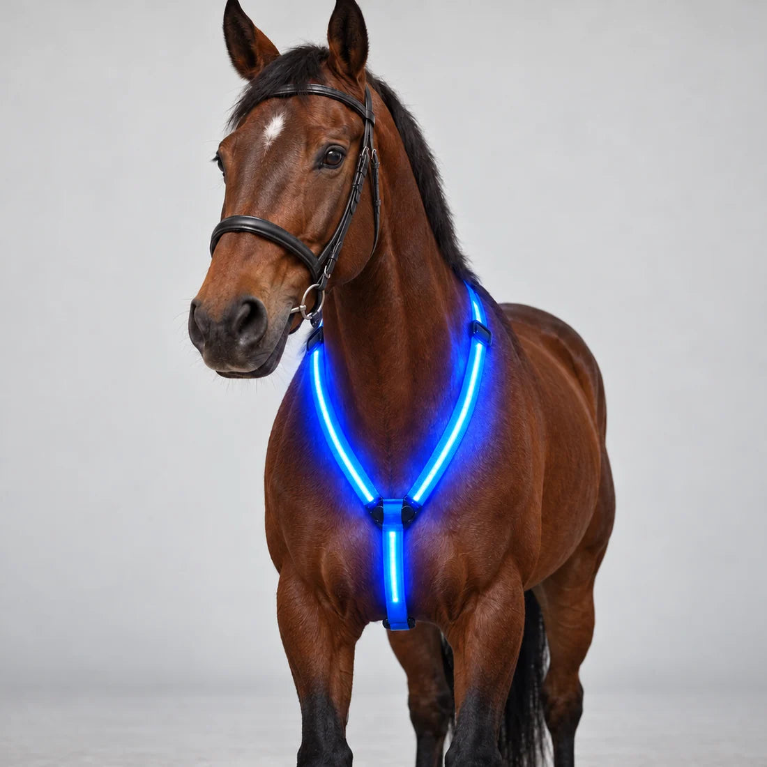 طقم إضاءة LED للخيل – حزام صدر وأربعة أشرطة للسيقان وضوء ذيل بطول 100 سم – قابل للتعديل لجميع الأحجام